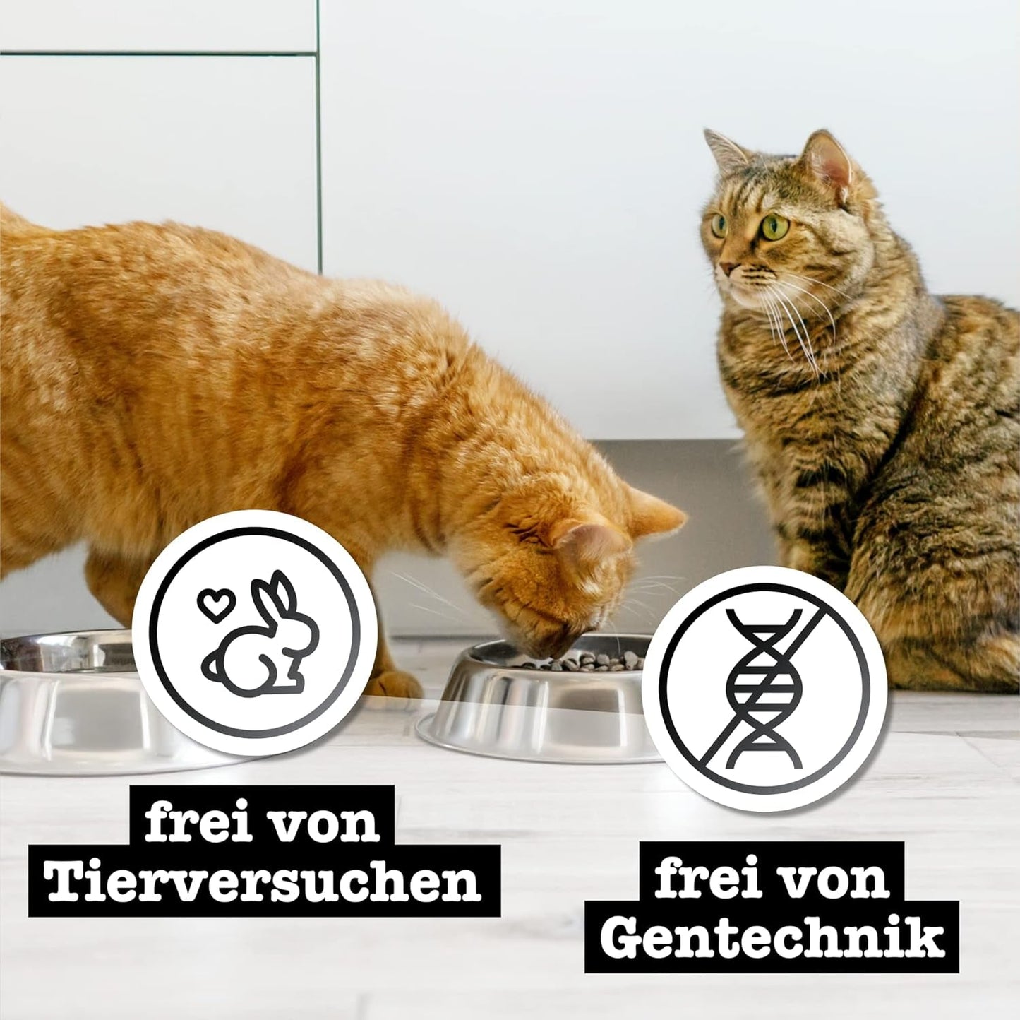 Catz Finefood Purrrr Collection I – Monoprotein-Nassfutter für Katzen – getreidefrei, zuckerfrei, hypoallergen – hoher Fleischanteil – Nassfutter für Katzen im Multipack – in Beuteln, 85 g (12 Packungen)
