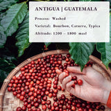 Nach der Bestellung geröstet ~ Frischeste Kaffeespezialitäten | 80 CUP Rösterei | Guatemala Antigua, Single Origin(1kg) Spezialitäten Kaffeebohnen, Frisch geröstet