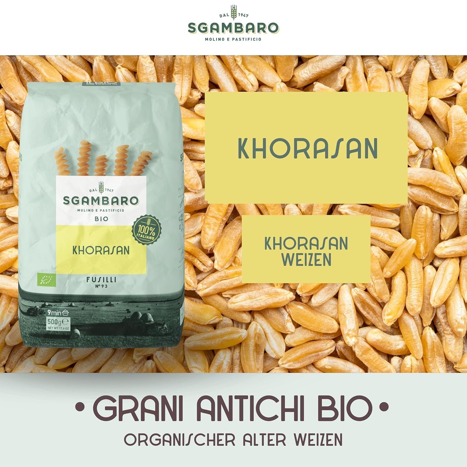 Bio-Fusilli-Nudeln Nr. 93 – 500 g Khorasan-Weizen – Uralter Weizen, reich an Proteinen, 100 % in Italien angebaut – Vielseitig in der Küche und reich an Nährstoffen