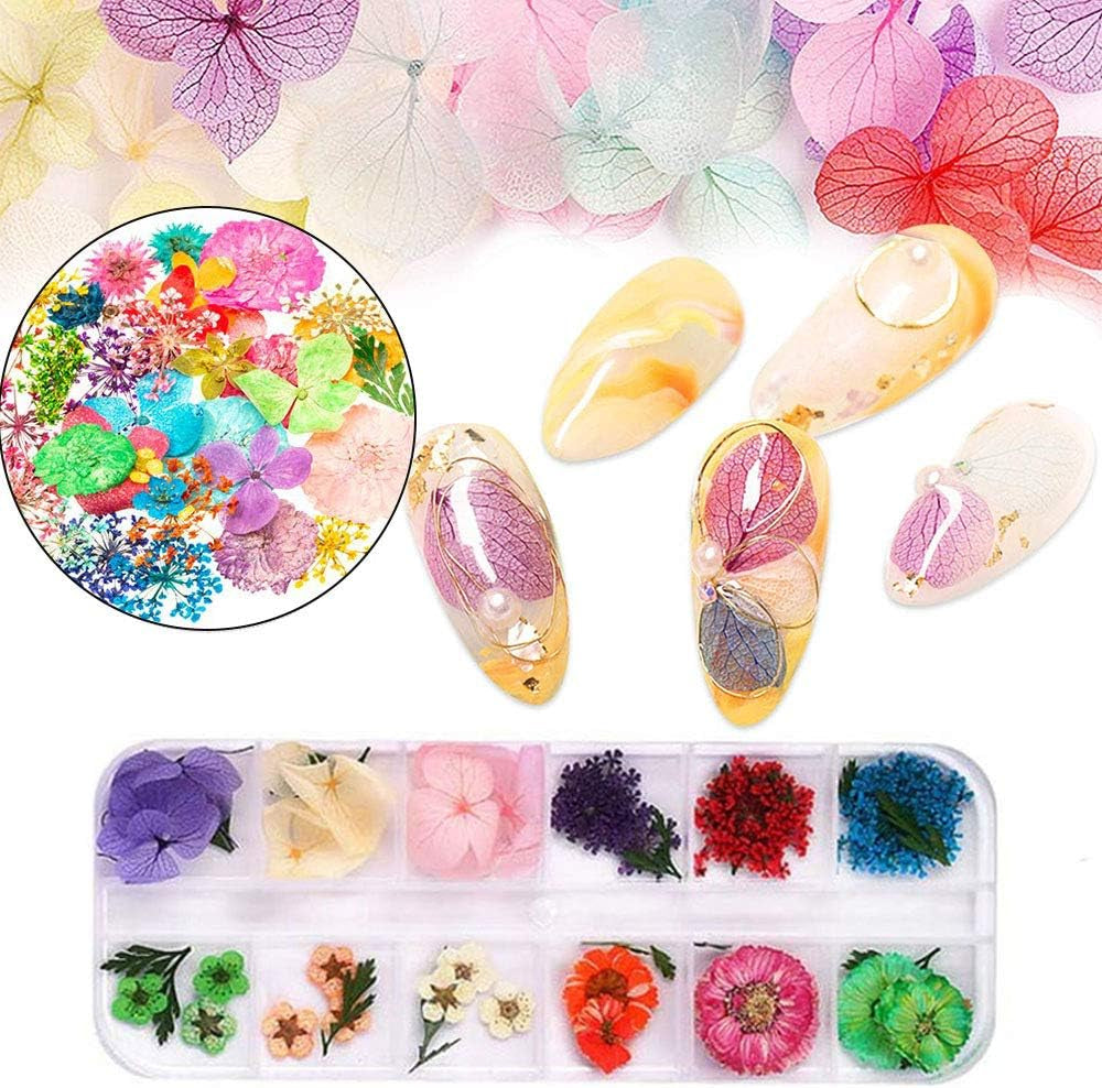 Kalolary Getrocknete Blumen für Nägel, Schmetterlings-Pailletten, Nagellack, Folie, Nagelaufkleber, Pinzette, Nagelsteine, Nagel-Strasssteine, Bleistift für 3D-Nageldesign, DIY-Dekorationen