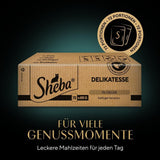 SHEBA Nassfutter für Katzen – 72 Beutel x 85 g – Geflügelsorte in Gelee – Nassfutter für Katzen – 1 große Packung