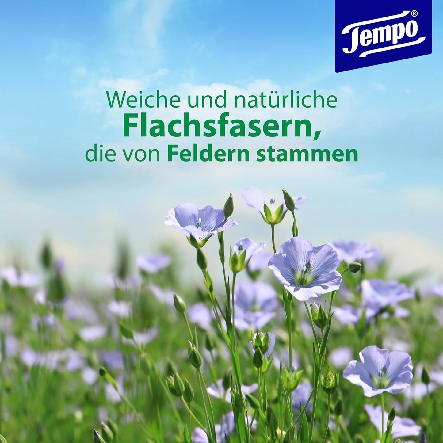Tempo Toilettentücher „Gentle & Caring“ – Megapack – 16 Packungen à 42 Tücher – Duo Packs – mit natürlicher Kamille – Toilettenpapier, dermatologisch getestet und neutral zum pH-Wert der Haut