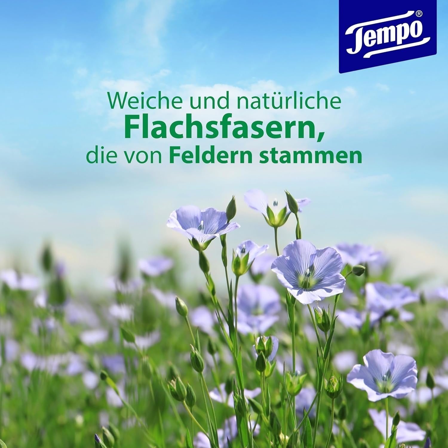 Tempo Toilettentücher „Gentle & Caring“ – Megapack – 16 Packungen à 42 Tücher – Duo Packs – mit natürlicher Kamille – Toilettenpapier, dermatologisch getestet und neutral zum pH-Wert der Haut