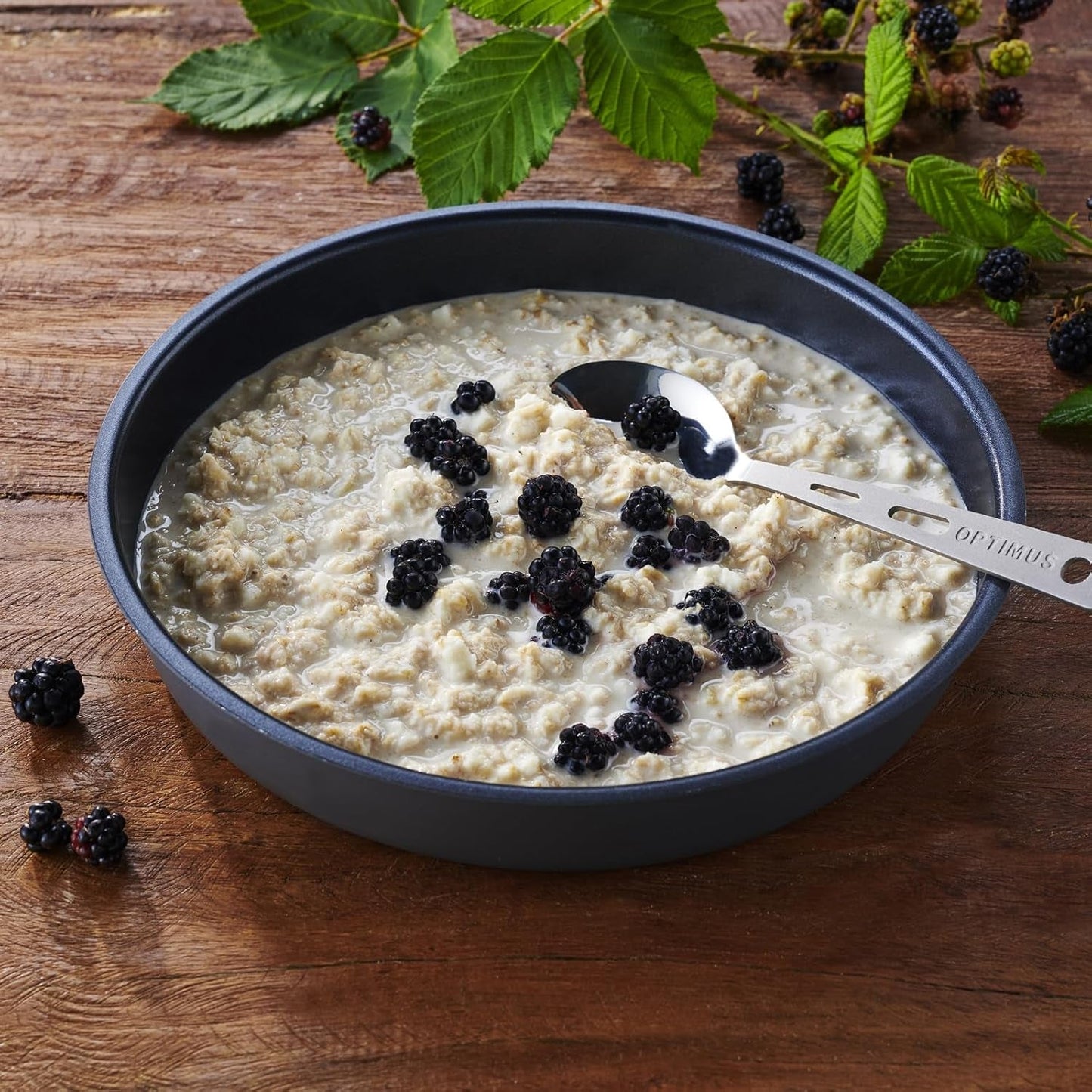 Trek'n Eat Protein Porridge – proteinreiches Frühstück für draußen | Gefriergetrockneter Tisch für Camping, Wandern und Expeditionen | Sättigend, schnell zubereitet, ideal für unterwegs