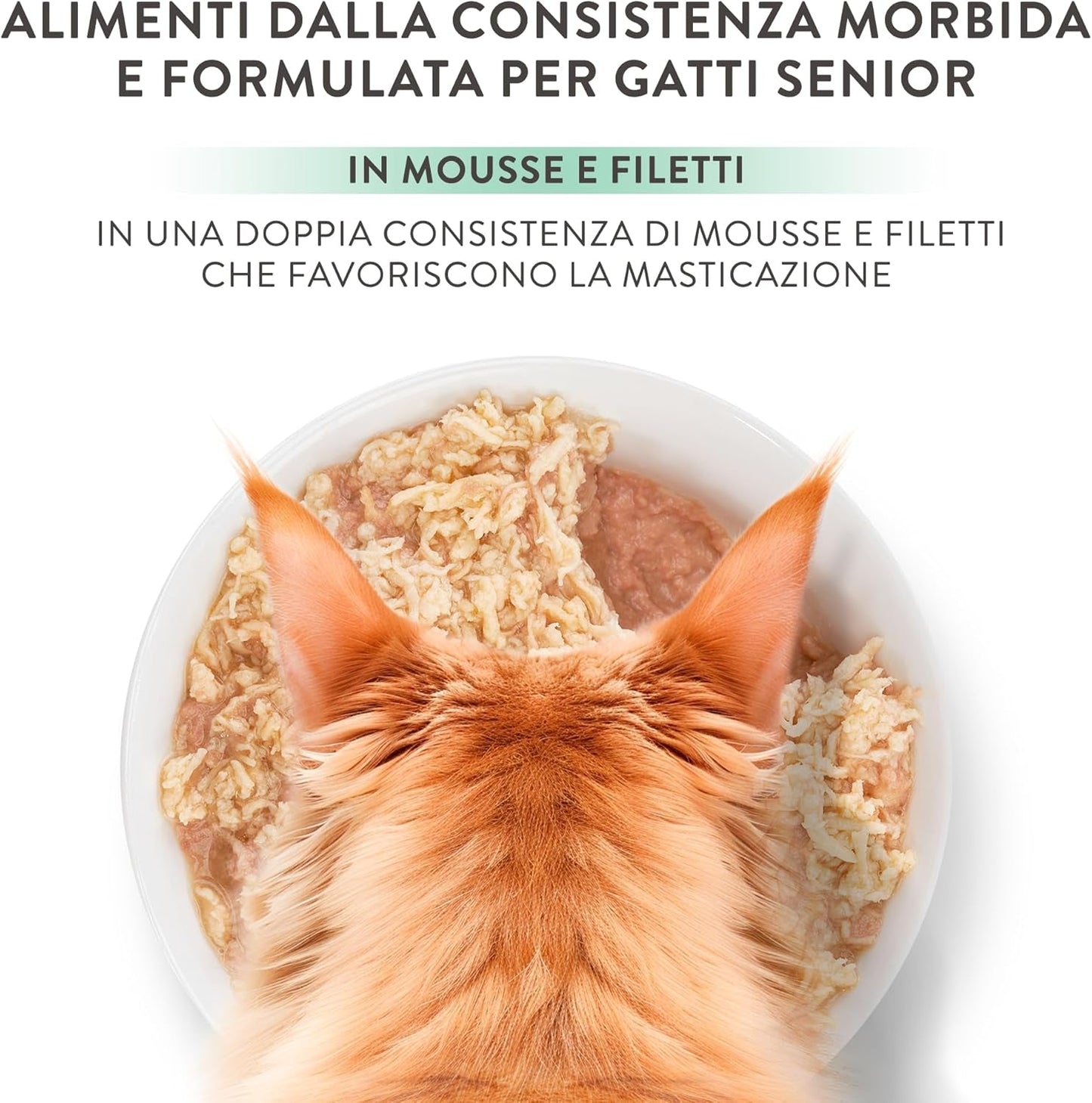 Silberhähnchen mit Entenmousse und Filets, komplettes Nassfutter für ältere Katzen, getreidefrei, Immununterstützung, Feuchtigkeitsquelle, 12 x 70 g