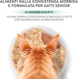 Silberhähnchen mit Entenmousse und Filets, komplettes Nassfutter für ältere Katzen, getreidefrei, Immununterstützung, Feuchtigkeitsquelle, 12 x 70 g