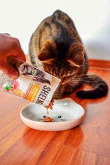 Shelma Nassfutter für Katzen mit Truthahn in Tomaten- und Kräutersauce – getreidefreies Vollfutter mit hohem Fleischanteil – 28 x 85 g (2,38 kg)
