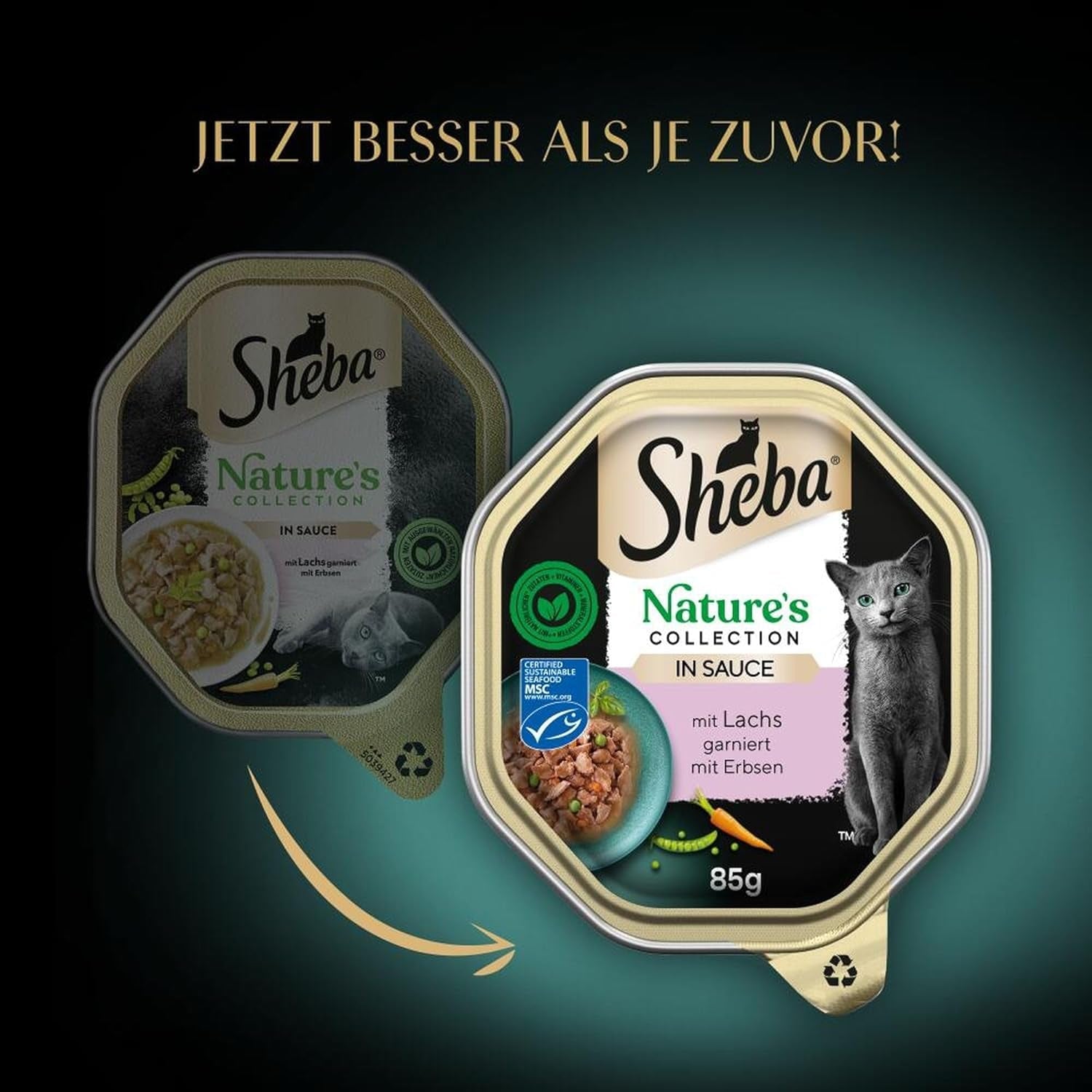 SHEBA Nassfutter für Katzen, Nature's Collection in Lachssauce, 2 x 11 x 85 g