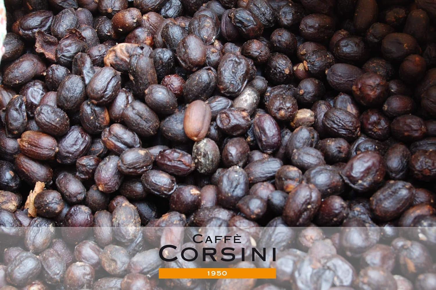 Caffè Corsini - Kaffeebohnen 3x250g Compagnia Dell'Arabica Set Guatemala/Äthiopien/El Salvador, Einzelner Ursprung, insgesamt 750g