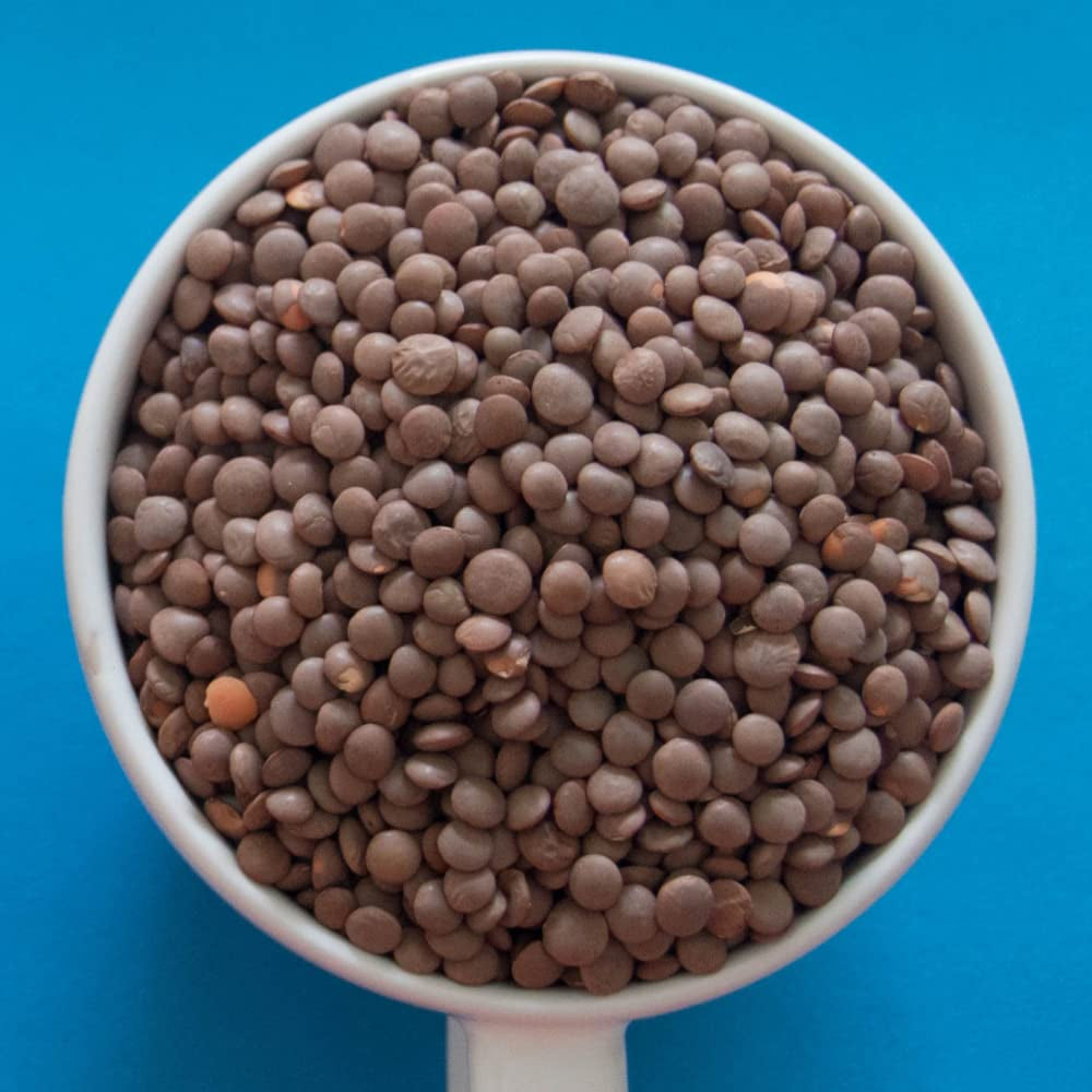 TRS - Ganze braune Linsen - (1 x 500g)