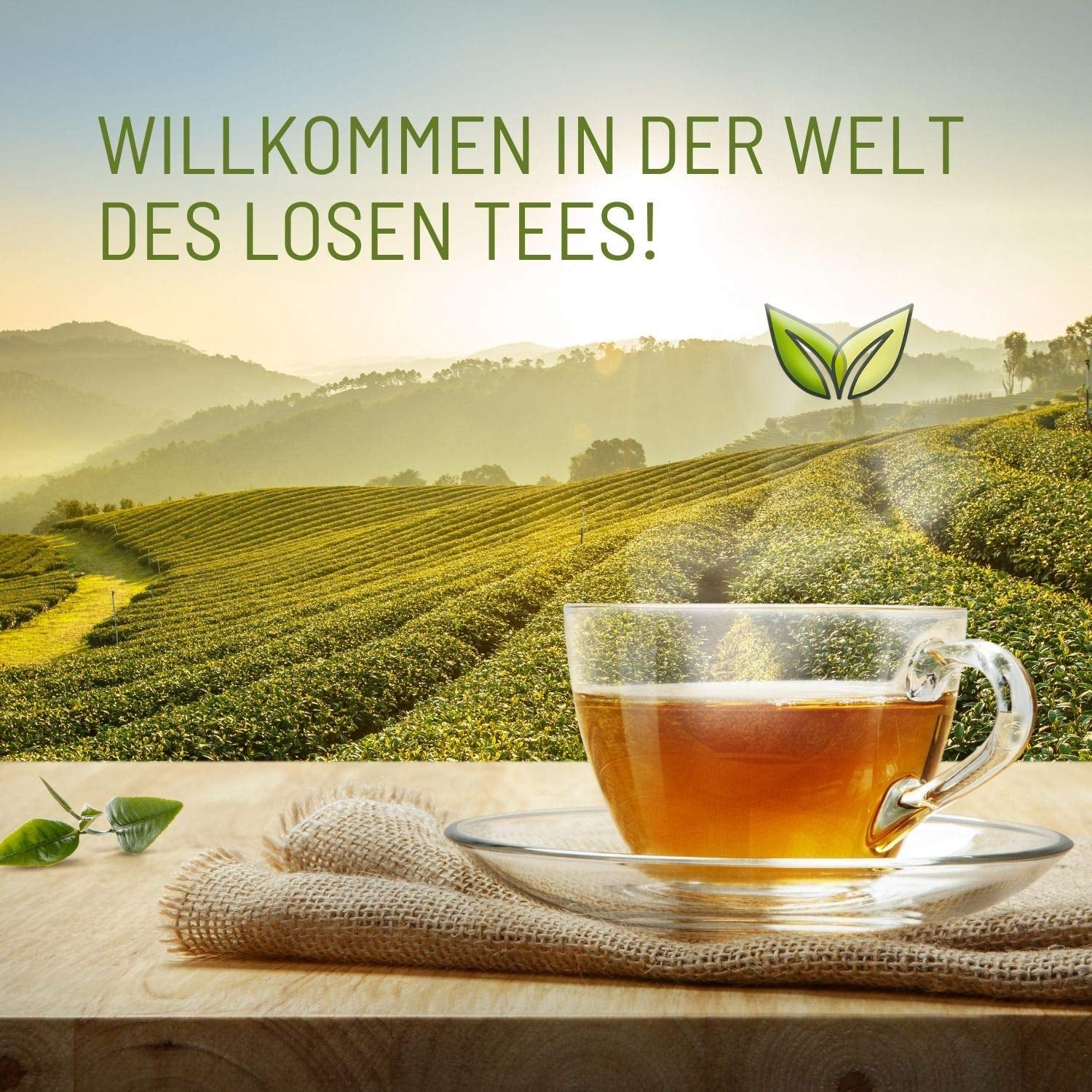Teeverliebt - Loser Früchtetee Mango & Orange 1000 G I Loser Früchtetee I Mischung aus Sommertees aus kontrolliert biologischem Anbau I Loser Bio-Früchtetee 1 kg