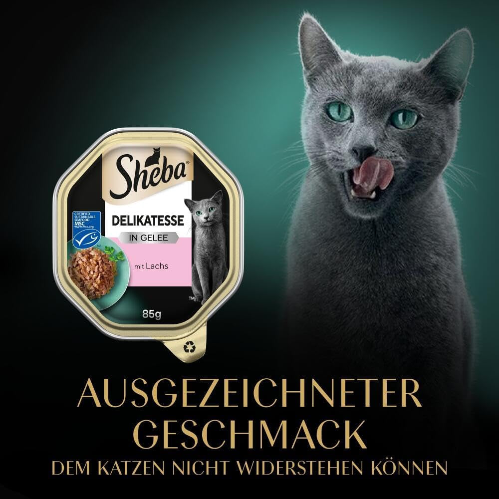 Sheba Nassfutter für Katzen, Delikatesse in Lachsgelee, 2 x 11 x 85 g
