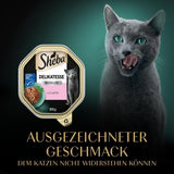 Sheba Nassfutter für Katzen, Delikatesse in Lachsgelee, 2 x 11 x 85 g