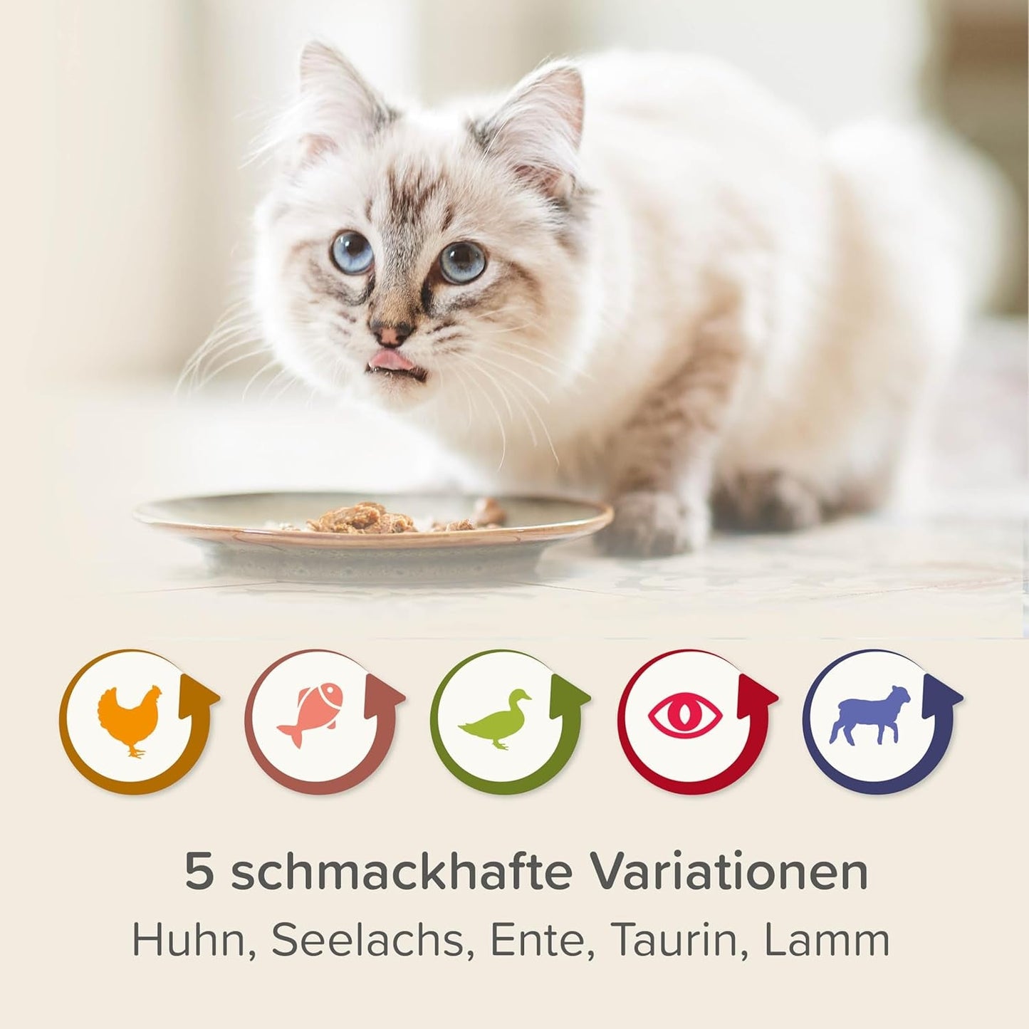 BEAPHAR – Renal Diet Mixed Package – Alleinfuttermittel für Katzen mit chronischer Niereninsuffizienz – Zur Unterstützung der Nierenfunktion – 6 x 100 g