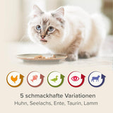 BEAPHAR – Renal Diet Mixed Package – Alleinfuttermittel für Katzen mit chronischer Niereninsuffizienz – Zur Unterstützung der Nierenfunktion – 6 x 100 g
