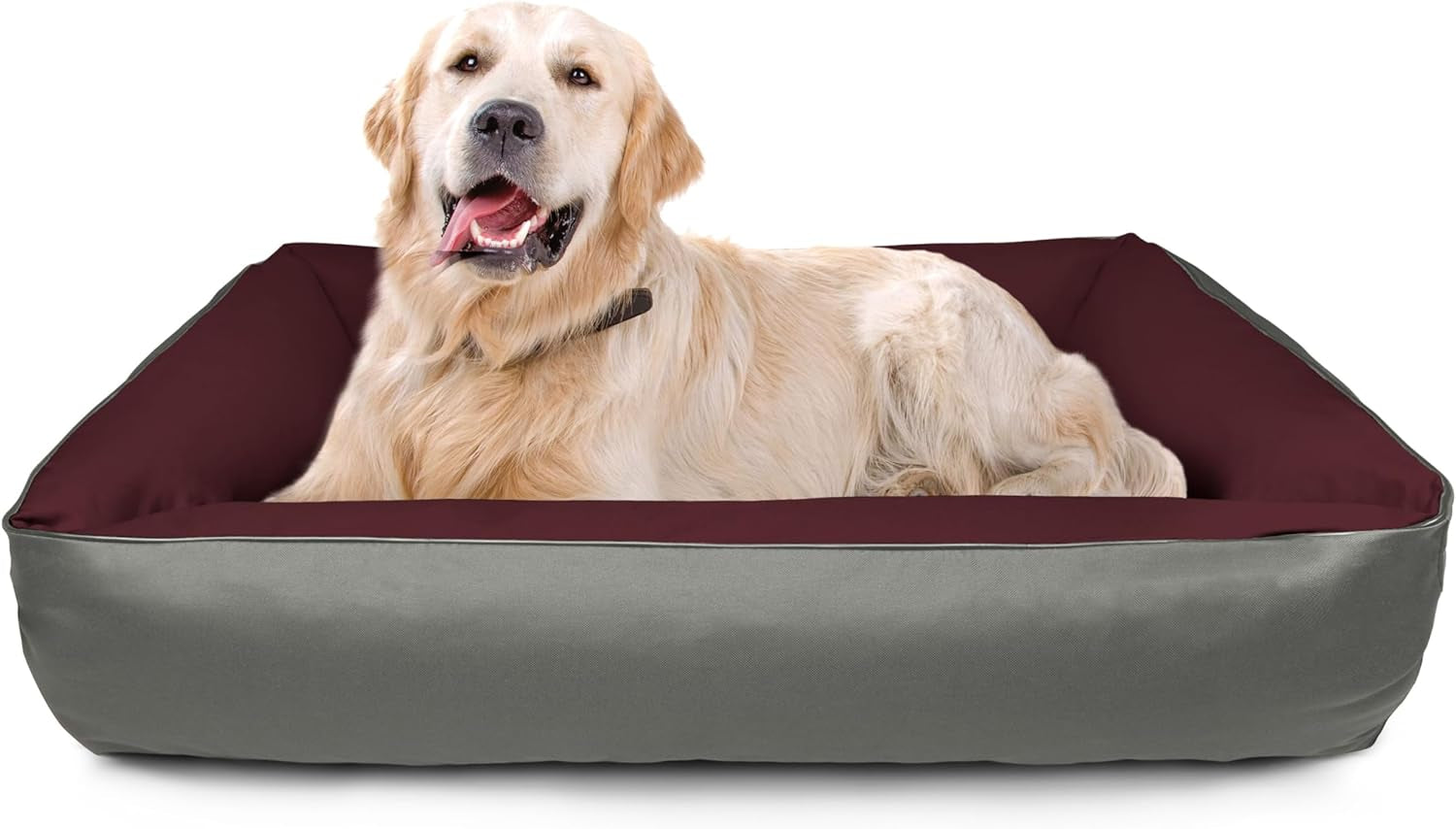 Betten, Haustiere, Hunde, Schlafplätze und Möbel
