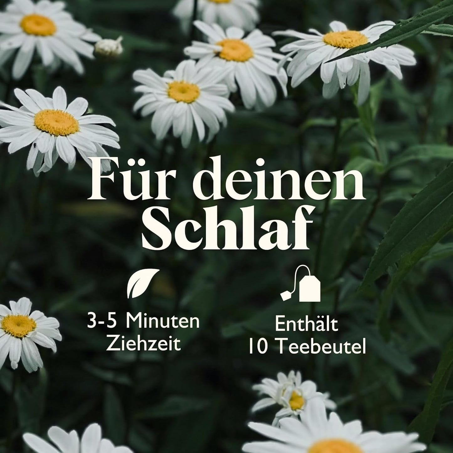 Twinings SWEET DREAMS Kamillentee mit Honig, Orange und Limettenblüten – Süße Kräuterteemischung zur natürlichen Schlafverbesserung, 12er-Pack (je 10 Teebeutel)