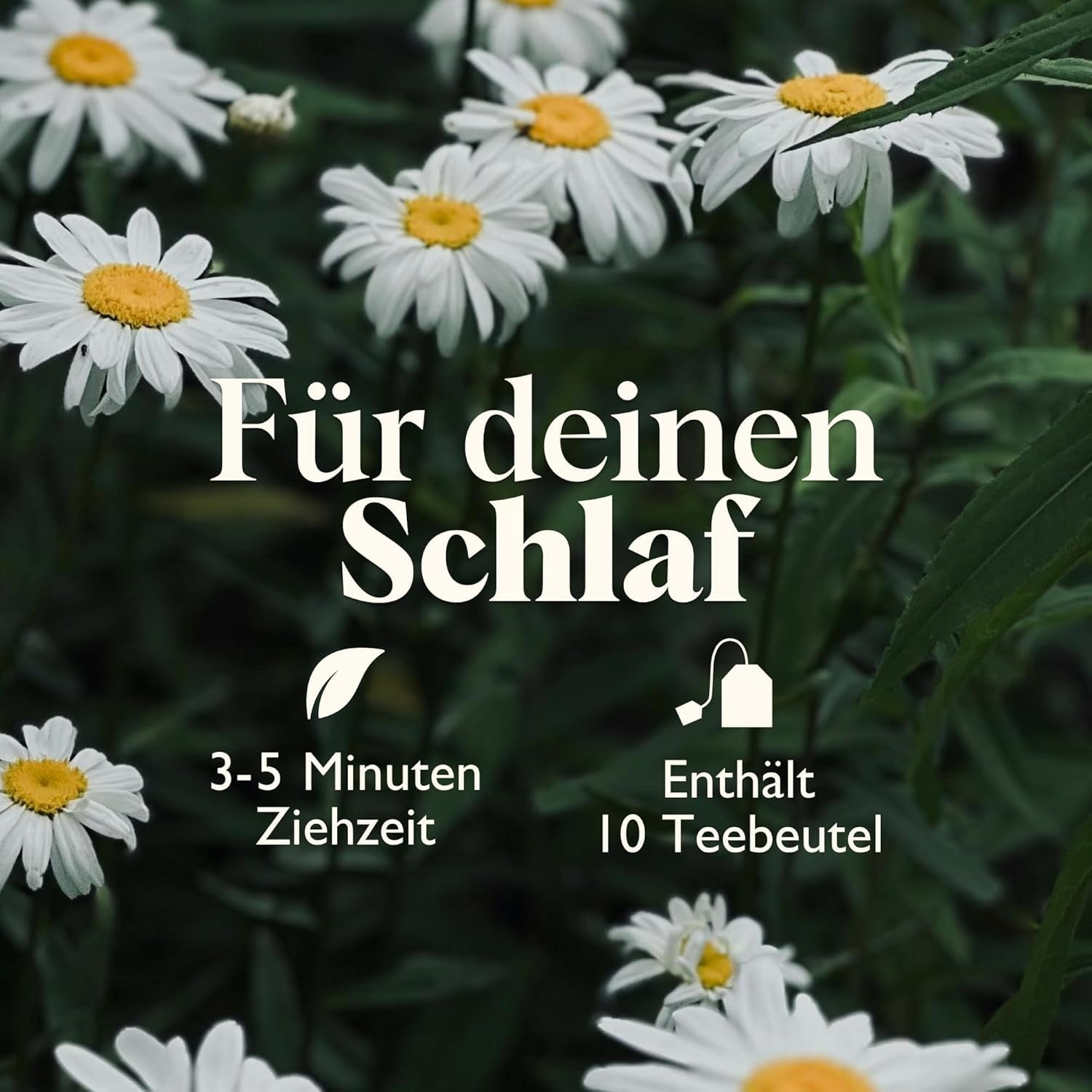 Twinings SWEET DREAMS Kamillentee mit Honig, Orange und Limettenblüten – Süße Kräuterteemischung zur natürlichen Schlafverbesserung, 12er-Pack (je 10 Teebeutel)