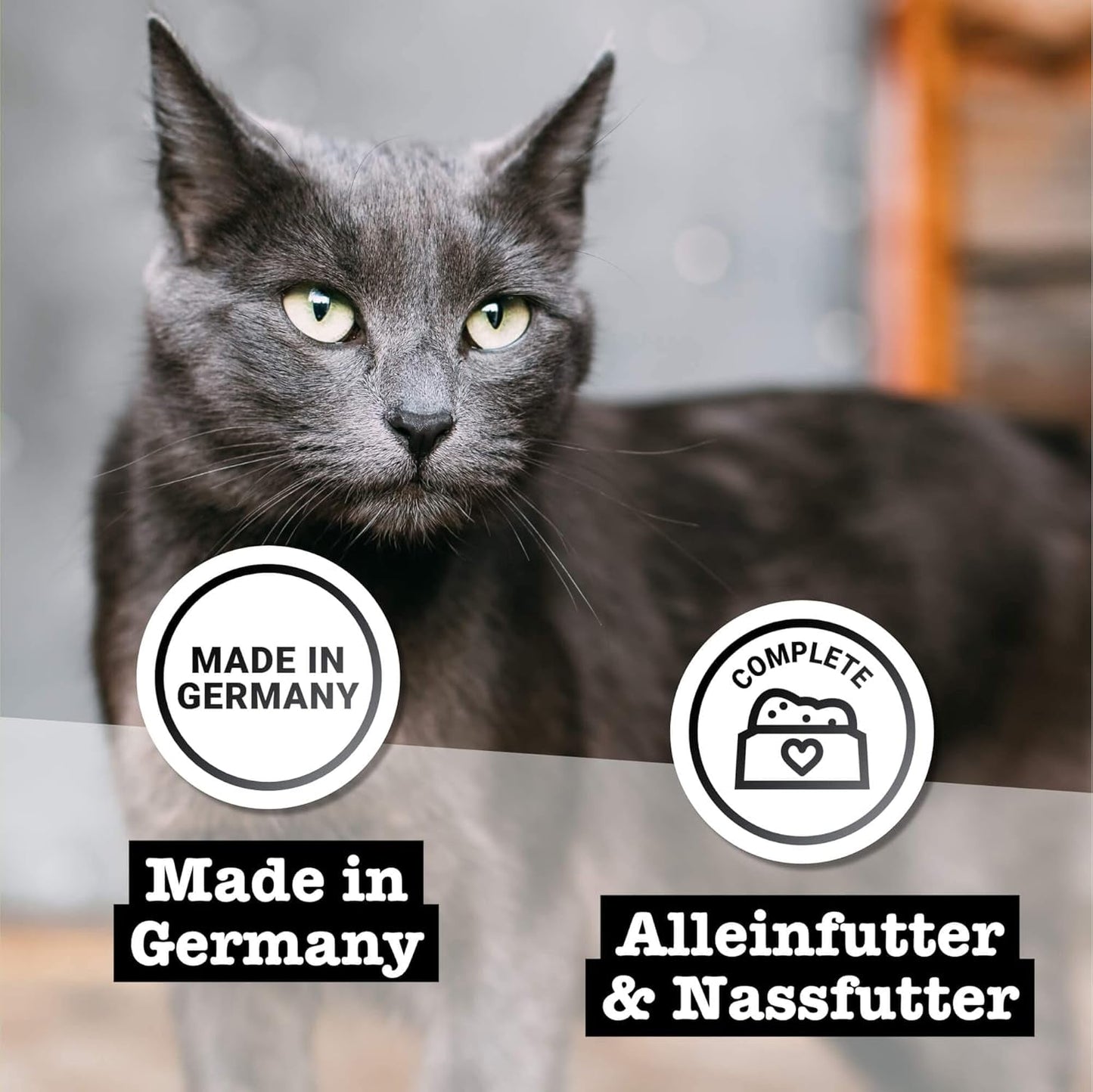 Nassfutter für Katzen Catz Finefood Purrrr mit Monoprotein und Lachs Nr. 105, für Katzen mit empfindlicher Verdauung, 16 x 80 g