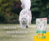 JOSERA Enten- und Hühnerpastete mit Petersilie (16 x 85 g) | Erwachsener | Premium-Nassfutter für ausgewachsene Katzen | Enten- und Hühnerpastete | Lachsöl | Keine Körner | Nasses Katzenfutter in frischen Beuteln | 16 Stück
