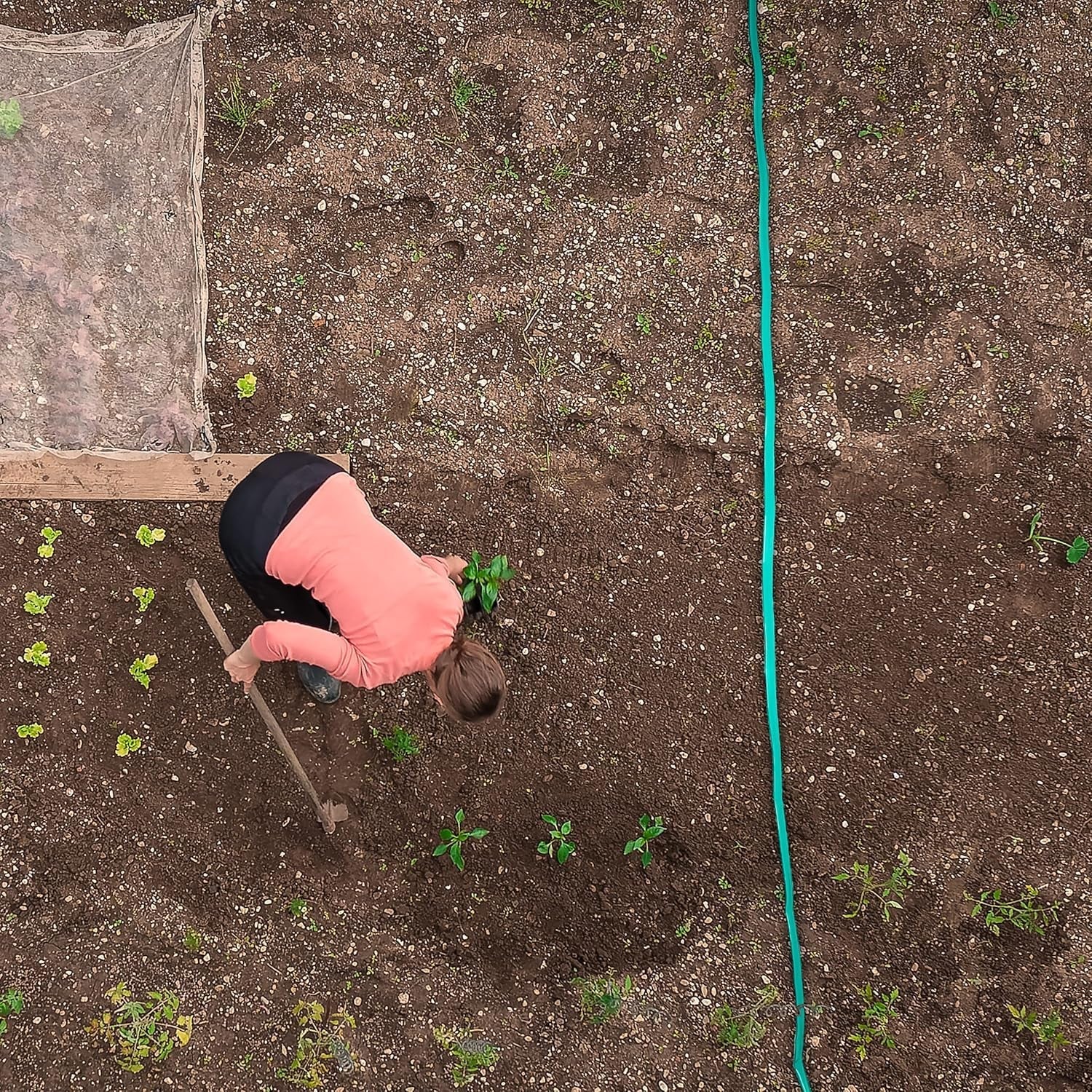 Relaxdays Bewässerungsschlauch 5 m Länge, gleichmäßige Bewässerung von Gartenschichten, flach, anschlussfertig, Sprinklerschlauch, grün