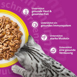 WHISKAS Nassfutter für Katzen in Gelee 120 x 85g Auswahl an Geflügel