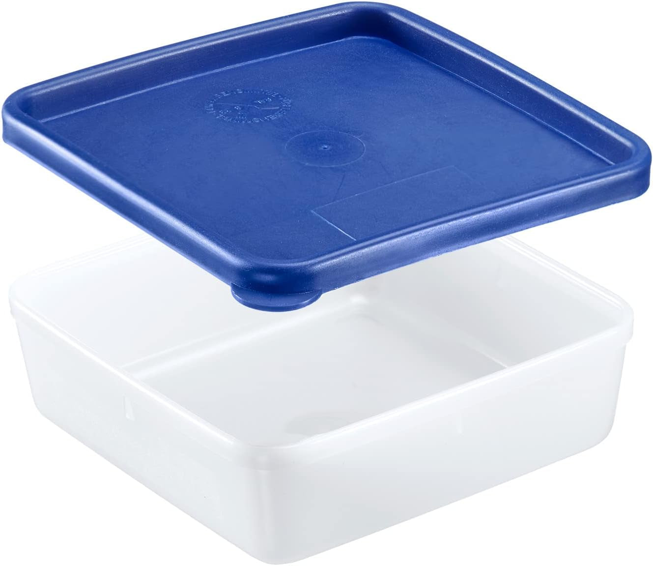 Westmark 4 Frischhalte-/Gefrierbehälter, inklusive Deckel, Fassungsvermögen: je 0,25 l, stapelbar, Kunststoff, Trio, Farbe: transparent/blau, 25042270 Frischhaltedosen Naty Shop