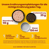 Almo Nature Daily – Nassfutter für Katzen – Thunfisch und Lachs – 70 g, 30 Stück