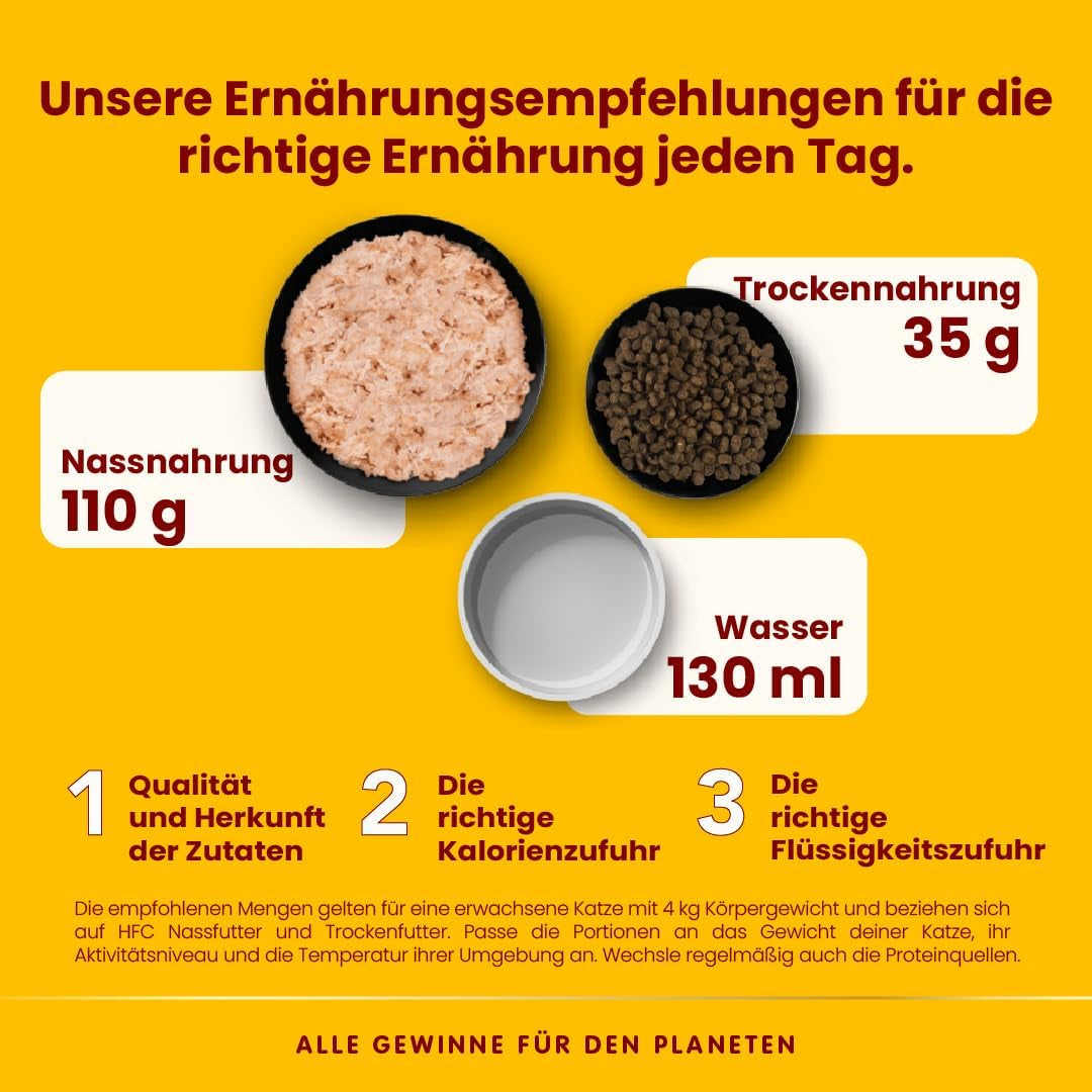 Almo Nature HFC Jelly – Nassfutter für ausgewachsene Katzen – Lachs – Human Grade, Glutenfrei & Monoprotein – 6 x 70 g