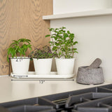 Set aus 3 wunderschönen Kräutergartentöpfen, perfekt für jede Fensterbank oder Küchentheke, ein modernes, dekoratives Gartenpflanzgefäß-Set inklusive Tablett und...