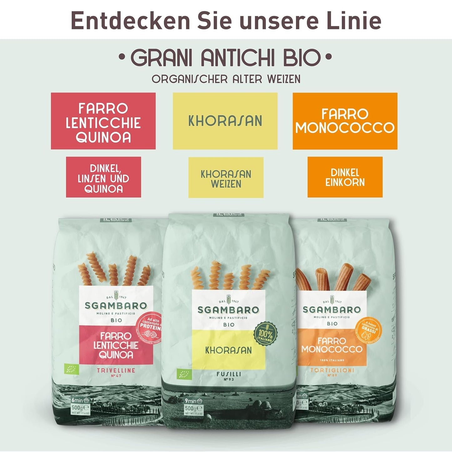 Bio-Fusilli-Nudeln Nr. 93 – 500 g Khorasan-Weizen – Uralter Weizen, reich an Proteinen, 100 % in Italien angebaut – Vielseitig in der Küche und reich an Nährstoffen