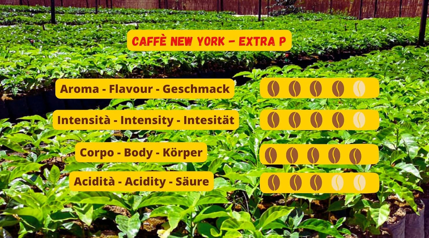 New York Coffee – EXTRA P – Kaffeebohnen, kräftiger und kräftiger Geschmack, Arabica- und Robusta-Bohnen, zum Mahlen, italienischer Espresso, Barmischung – Premium-Qualität seit 1930 – 1 kg, Bohnen