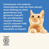 Applaws 100 % natürliches Premium-Nassfutter für Katzen, Thunfischfilet mit Algen in Brühe – Packung mit 24 x 156 g Dosen
