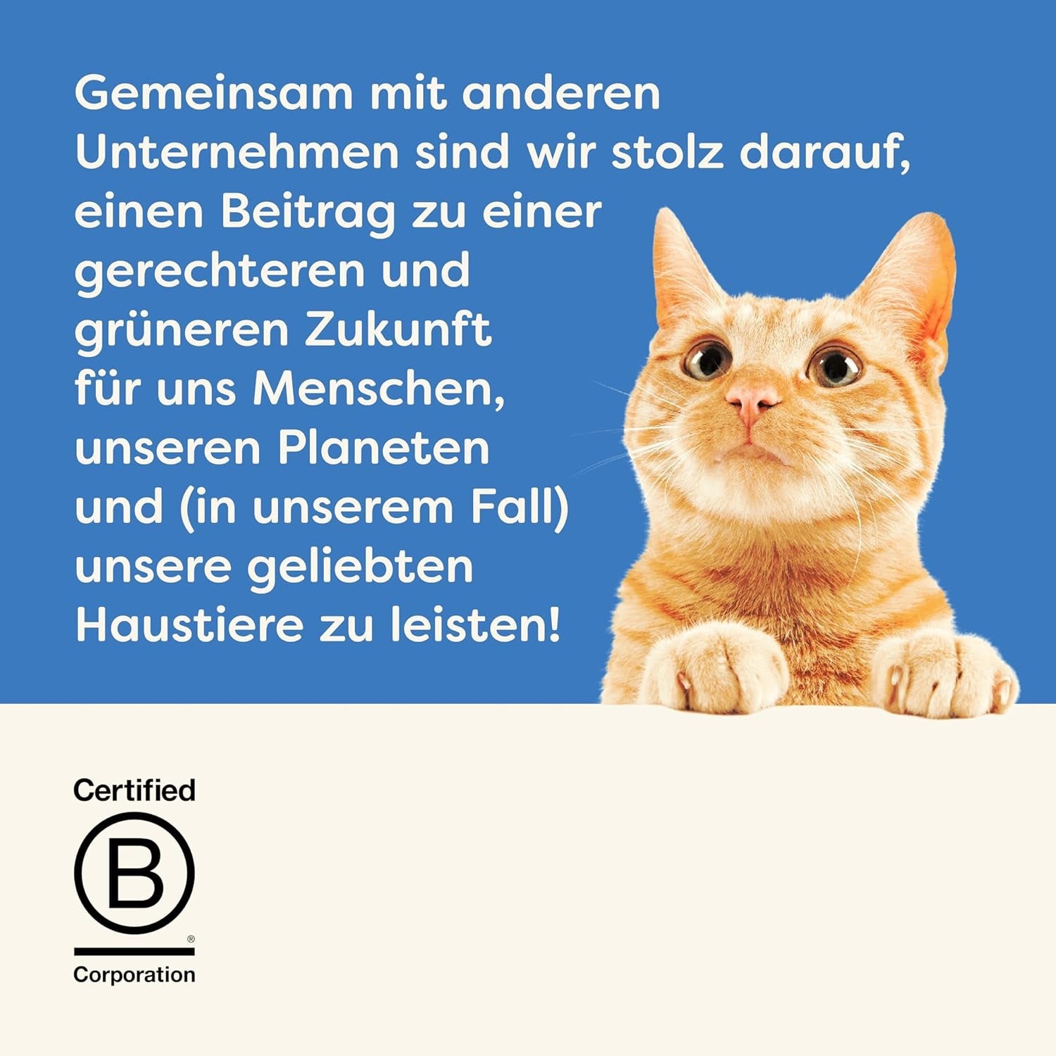 Applaws 100 % natürliches Premium-Nassfutter für Katzen, Thunfischfilet mit Algen in Brühe – Packung mit 24 x 156 g Dosen