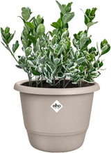 elho Amiga Round 30 – Blumentopf für drinnen und draußen – 100 % recycelter Kunststoff – Ø 29,5 x H 20,2 cm – Beige/Pilzbeige