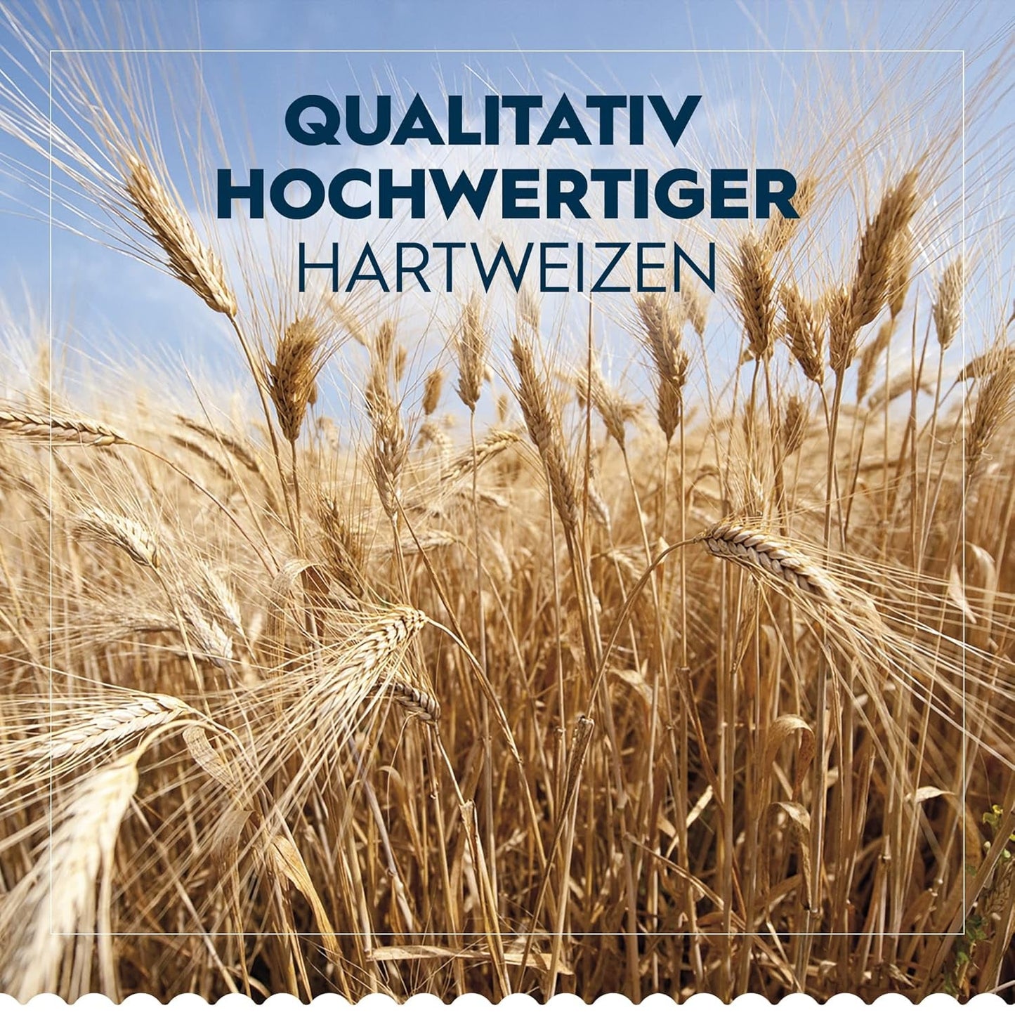 Barilla Pasta Klassische Spaghetti n.5 aus hochwertigen Hartweizen immer al dente, (1 x 500 g), geschmacksneutral