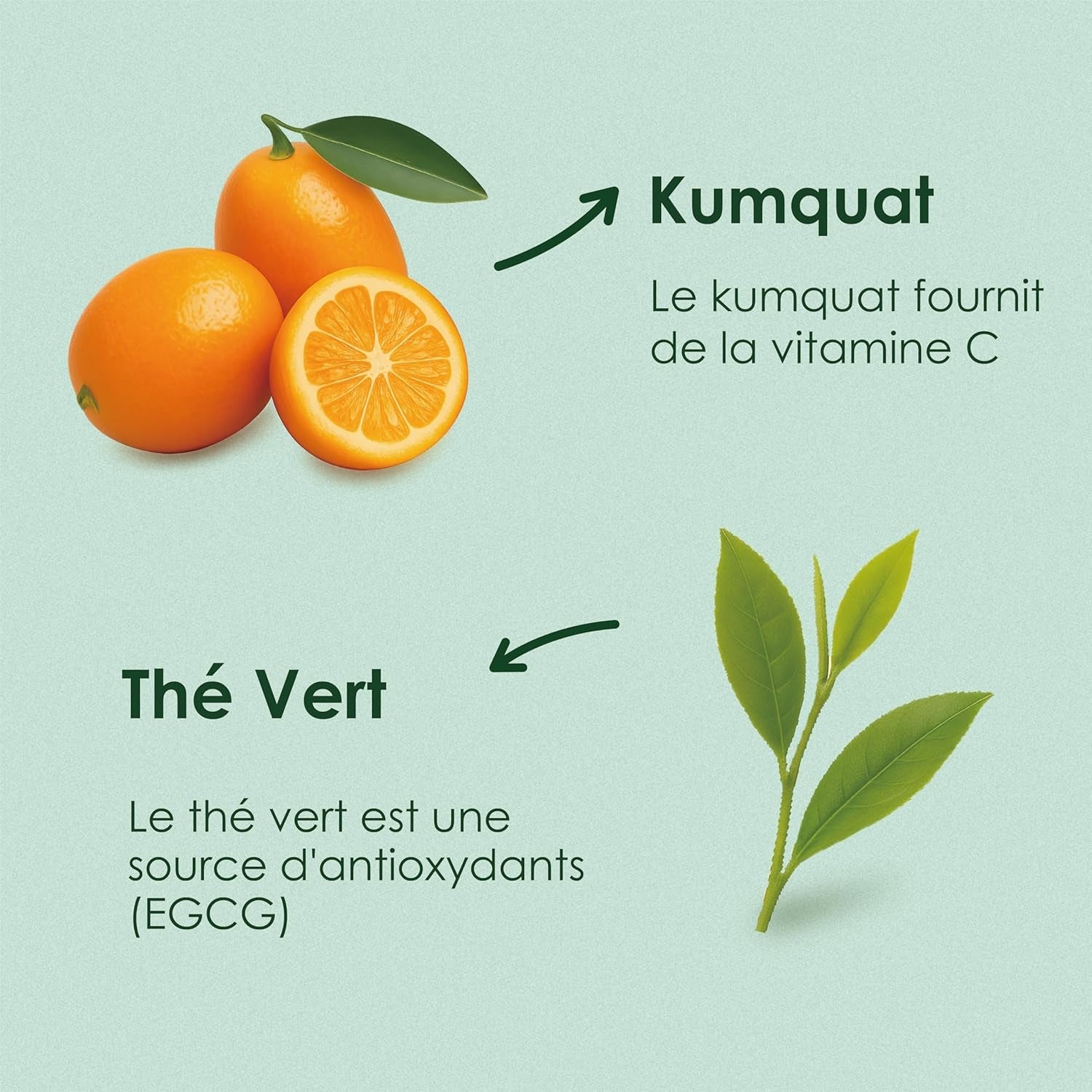 Yunnan Tuocha Zouji – Bio-Grüntee mit Kumquat – Vitamin C – 100 Teebeutel – 200 g – Yunnan-Qualität garantiert