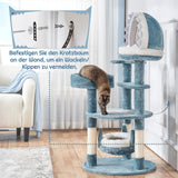Decken und Möbel, Haustiere, Katzen, Betten für Katzen, Kratzbaum, Katzenbetten, Matratzen