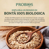 Leichte Bio-Cornflakes 500g pro Packung