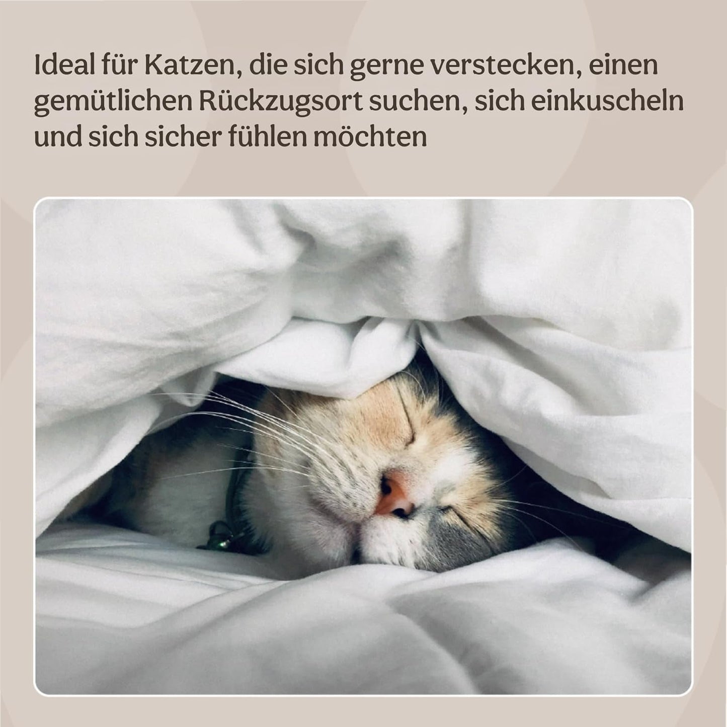 Betten, Decken & Möbel, Haustiere, Katzen, Katzenbetten, Katzenbetten, Matratzen