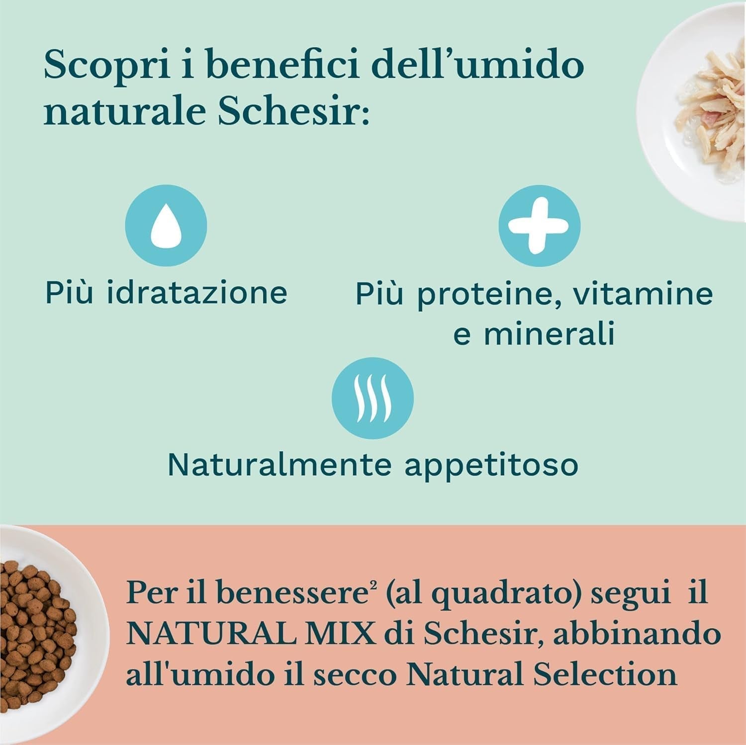 Nassfutter für kleine Katzen mit Hühnercreme und Hühnerfleisch - Nassfutter für kleine Katzen - Nassfutter für Katzen mit Hühnercreme, getreidefrei, reich an Proteinen, Vitaminen und Mineralstoffen (20 Beutel x 150 g)