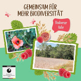Ungesüßter Allos-Porridge mit Feigen und Himbeeren | Porridge ohne Zucker | Bio-Müsli | Müsli mit Früchten | Haferflocken | Porridge zum Frühstück | Müsli zum Frühstück | Vegan | 6er-Pack (6 x 500 g)