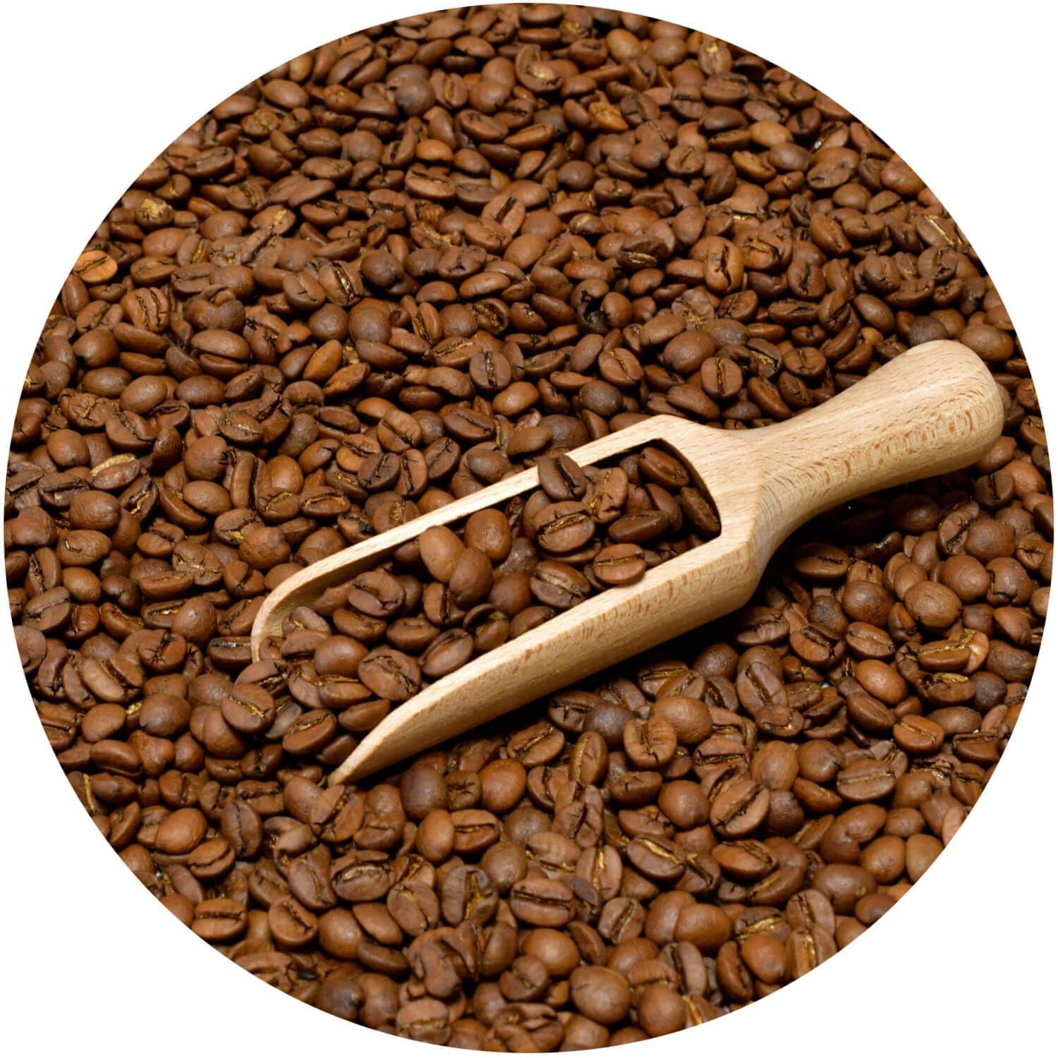 Satz Kaffeebohnen 2x1kg 2000g | Brasilien Mogiana | Brasilianischer Kaffee | Spezialkaffee | Frisch frittiert | Handwerklicher Kaffeeröster