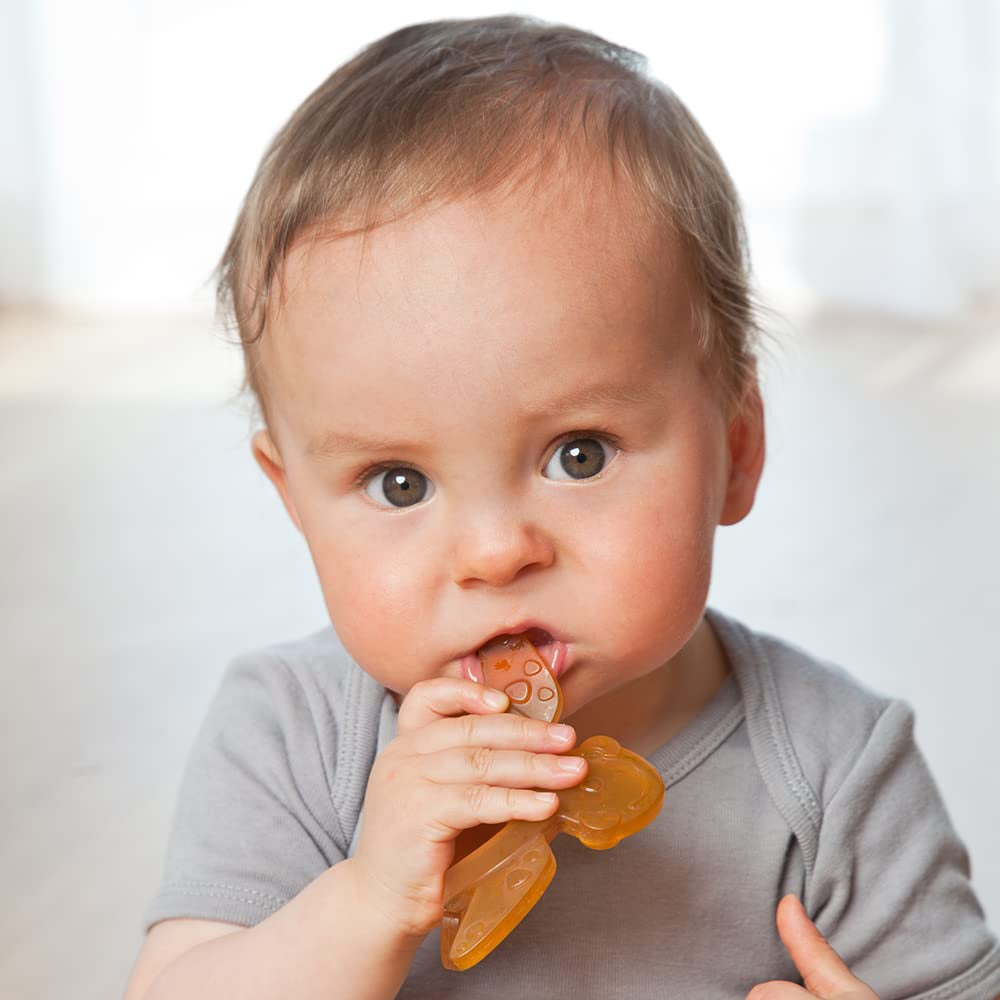 GRÜNSPECHT Beißring aus Bio-Naturkautschuk für zahnende Babys, massiert das Zahnfleisch, BPA-frei, weich, fördert die Feinmotorik, Schildkröte (639-V2), braun