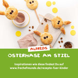 FRECHE FREUNDE Bio Rosinen, Trockenfrüchte ohne Zucker, ohne Zusatzstoffe, ungeschwefelt, in kleinen Snackboxen, Sultaninen für Kinder, 20er Pack, 20 x (3x14g)