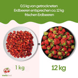 Biolla Food ganze getrocknete Erdbeeren, 0,5 kg, 100 % natürlich. Gesunde Snacks für Kinder. Ideal für Smoothies, Hafermüsli, Tee und Porridge. Lange Haltbarkeit. VEGANE, GLUTENFREI, ROHNAHRUNG Naty Shop Dehydrierte Produkte