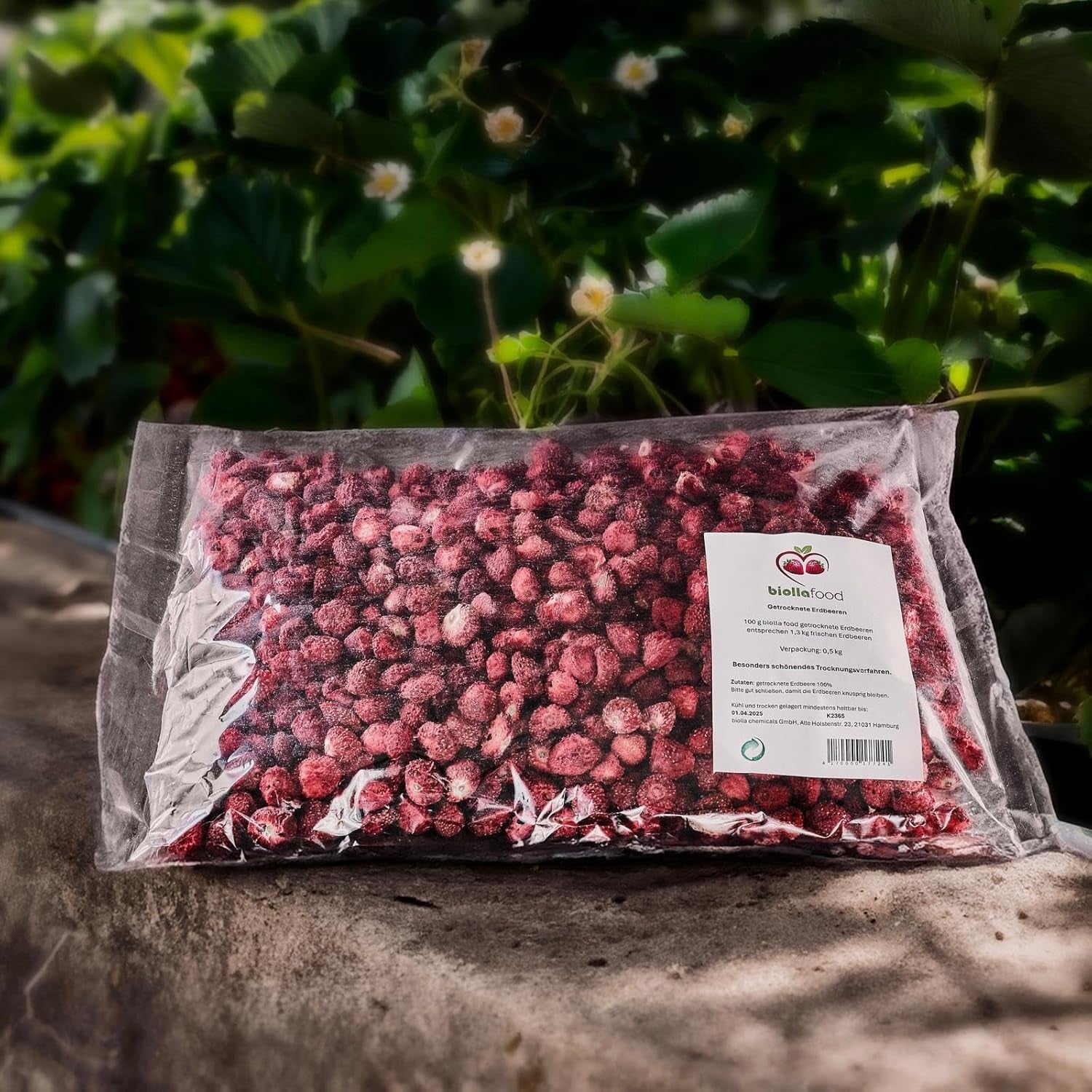 Biolla Food ganze getrocknete Erdbeeren, 0,5 kg, 100 % natürlich. Gesunde Snacks für Kinder. Ideal für Smoothies, Hafermüsli, Tee und Porridge. Lange Haltbarkeit. VEGANE, GLUTENFREI, ROHNAHRUNG Naty Shop Dehydrierte Produkte