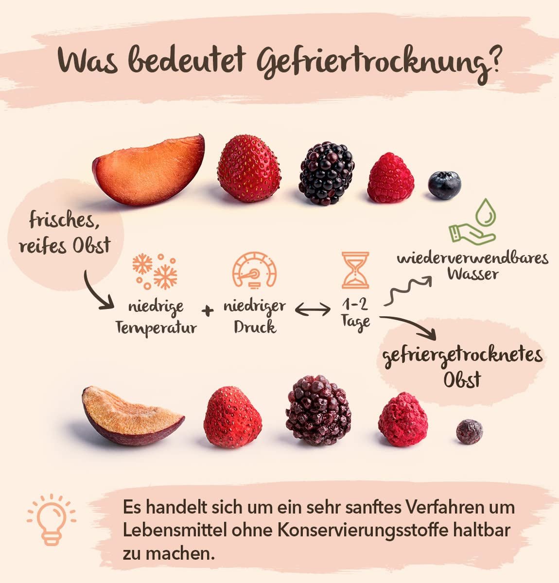 BRIX gefriergetrocknete Früchte | Natürliche Mischung aus Trockenfrüchten 115g | Great Taste Award für Trockenfrüchte | GVO-frei, glutenfrei, vegan, ohne Vitamine. Naty Shop dehydrierte Produkte
