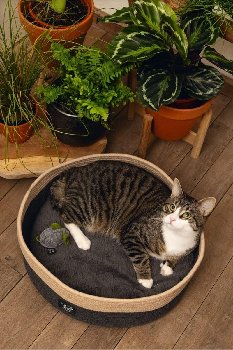 Betten, Decken & Möbel, Haustiere, Katzen, Katzenbetten, Katzenbetten, Matratzen