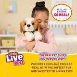 Little Live Pets My Really Real Puppy – Patches; Interaktiver Welpe; über 60 Sounds/Reaktionen; realistisches Aussehen; 1 von 72 Varianten; Spielset mit Tragetasche; Batterien im Lieferumfang enthalten; ab 5 Jahren